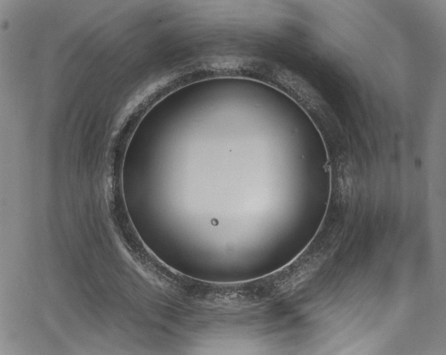 X0000062870728200601131440