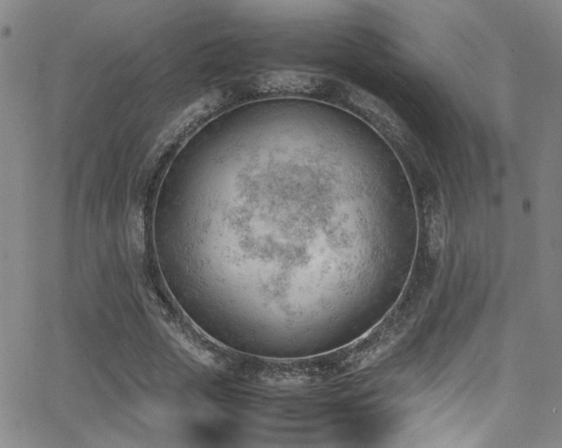 X0000062870729200601131440