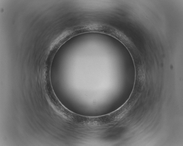 X0000062870730200601131440