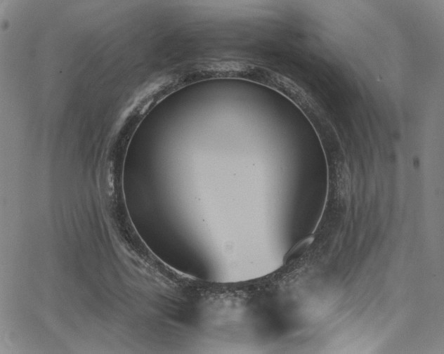 X0000062870731200601131440