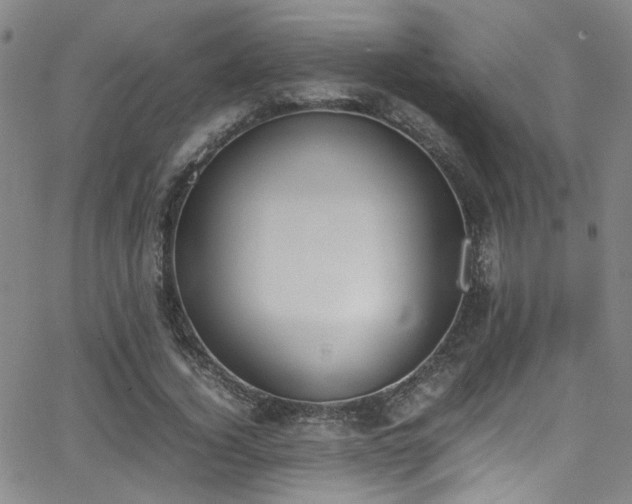 X0000062870732200601131440