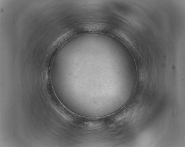 X0000062870733200601131440