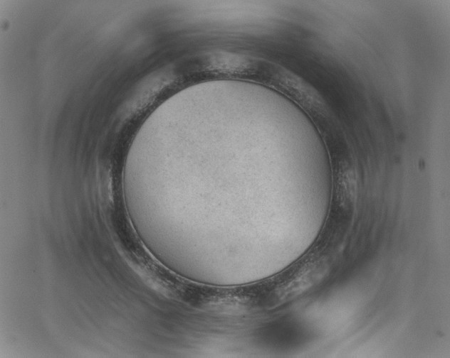 X0000062870734200601131441