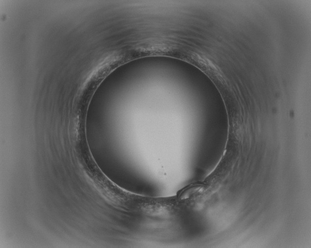 X0000062870735200601131441