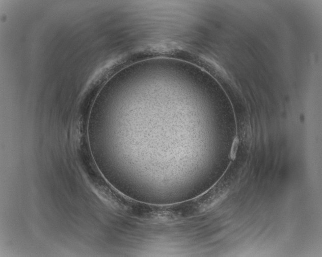 X0000062870736200601131441