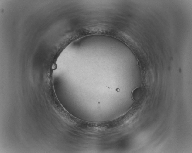 X0000062870737200601131441