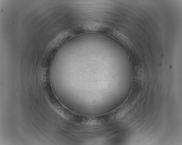 X0000062870738200601131441