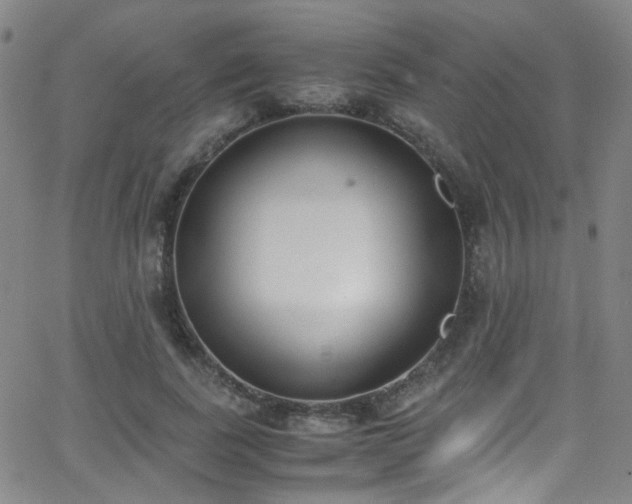 X0000062870739200601131441