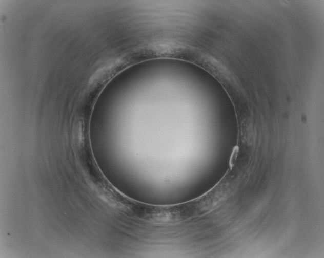 X0000062870740200601131441