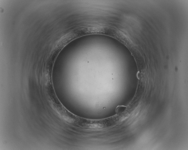 X0000062870741200601131441