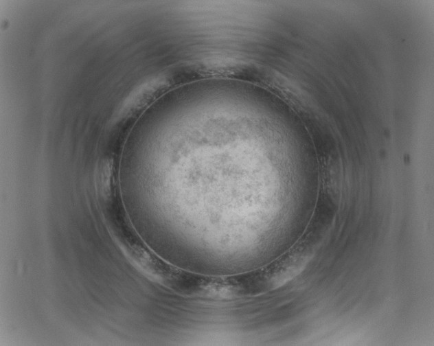 X0000062870742200601131441