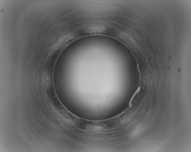 X0000062870743200601131441