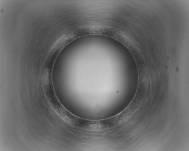 X0000062870744200601131441