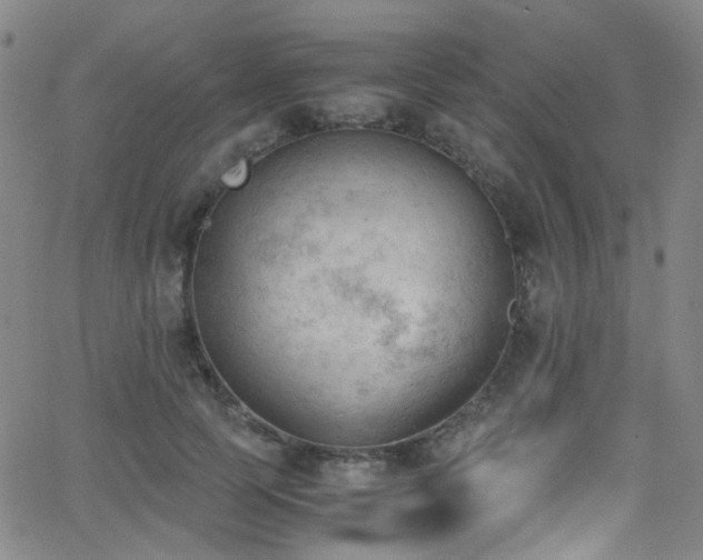 X0000062870745200601131441