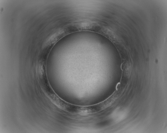 X0000062870746200601131441