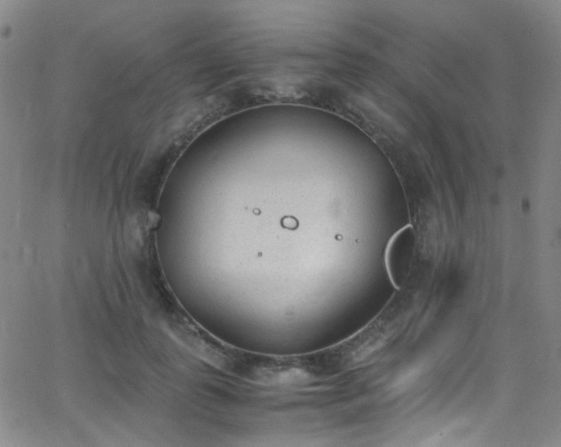 X0000062870747200601131441