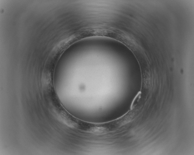 X0000062870748200601131441