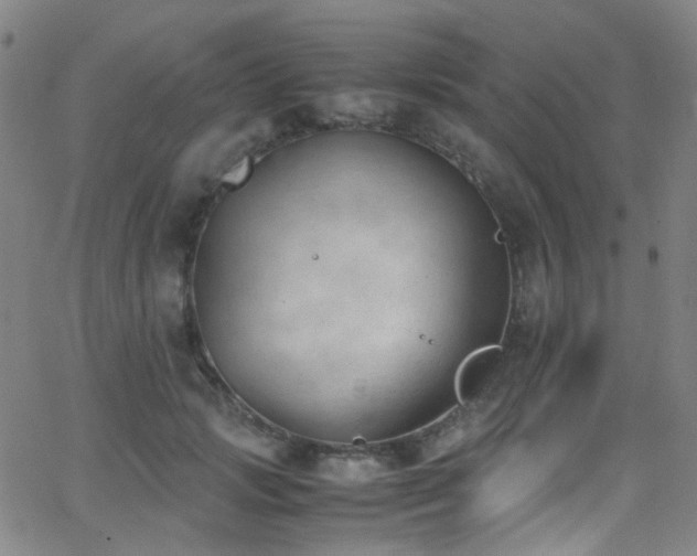 X0000062870749200601131441