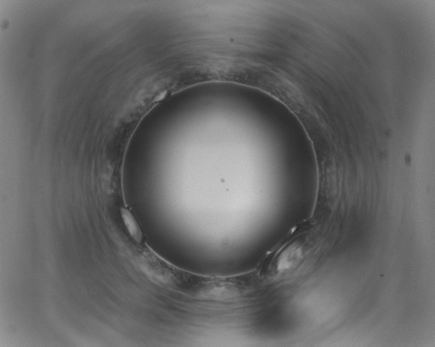 X0000062870750200601131441