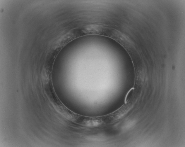 X0000062870751200601131441