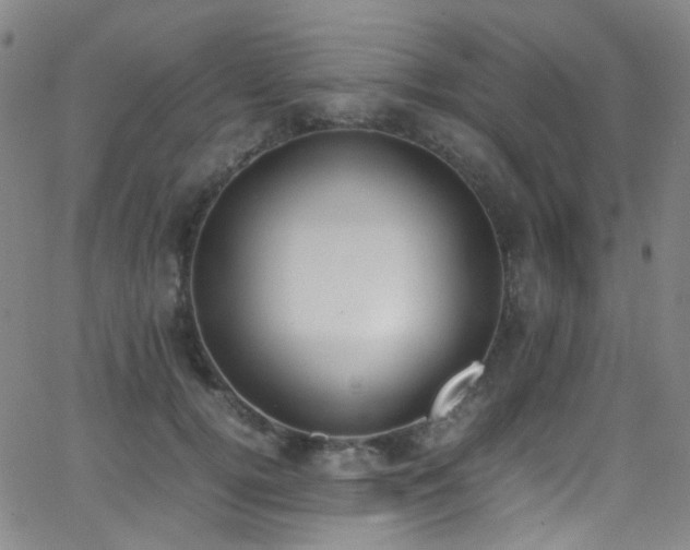 X0000062870752200601131441