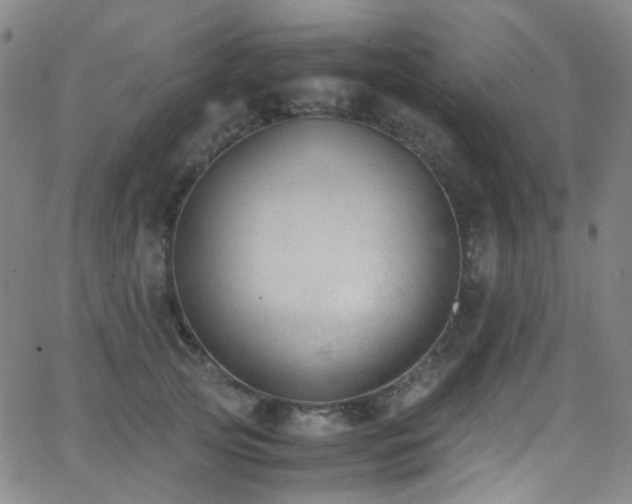 X0000062870753200601131441