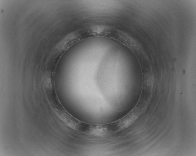 X0000062870754200601131441