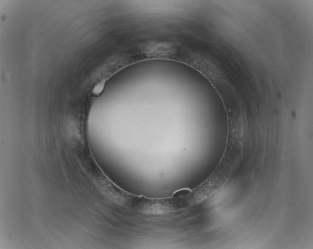 X0000062870755200601131441