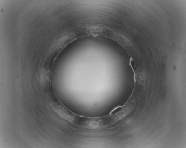 X0000062870756200601131441