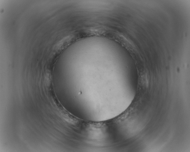 X0000062870757200601131441