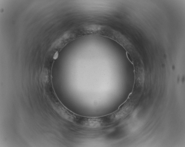 X0000062870758200601131441