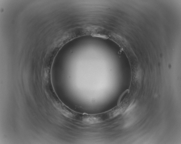 X0000062870759200601131441