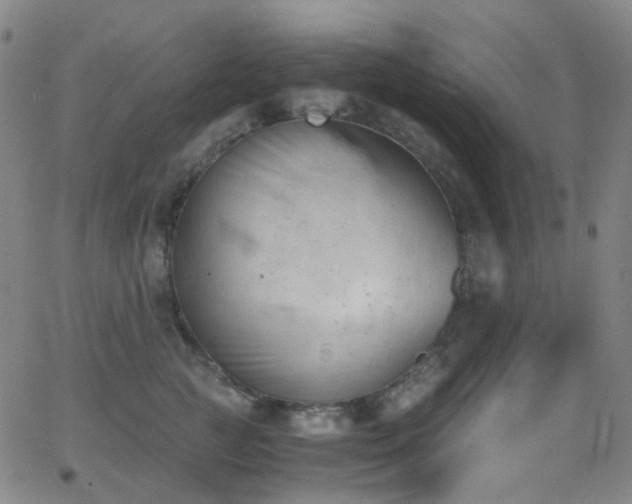 X0000062870761200601131441