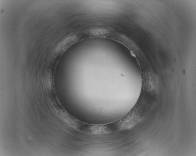 X0000062870762200601131441