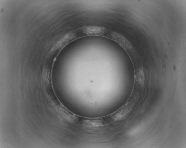 X0000062870763200601131441