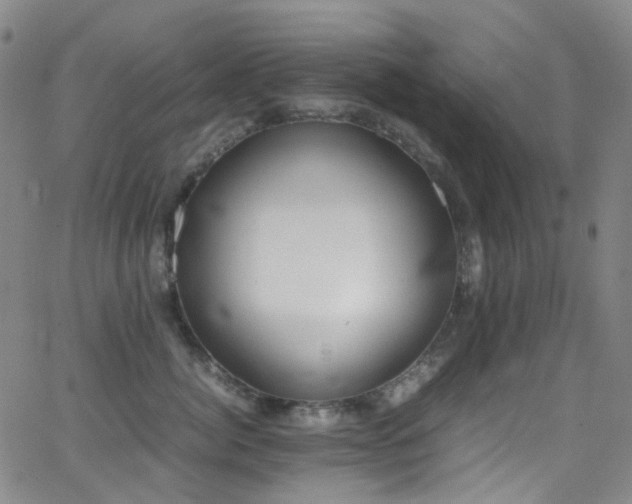 X0000062870764200601131441