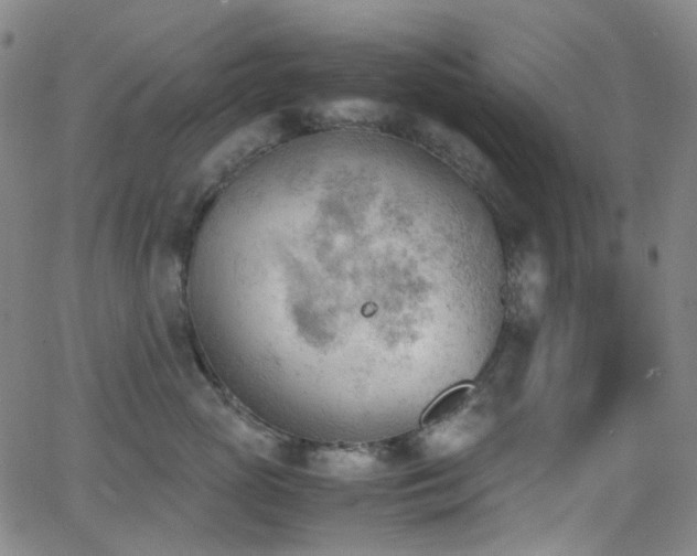 X0000062870765200601131441