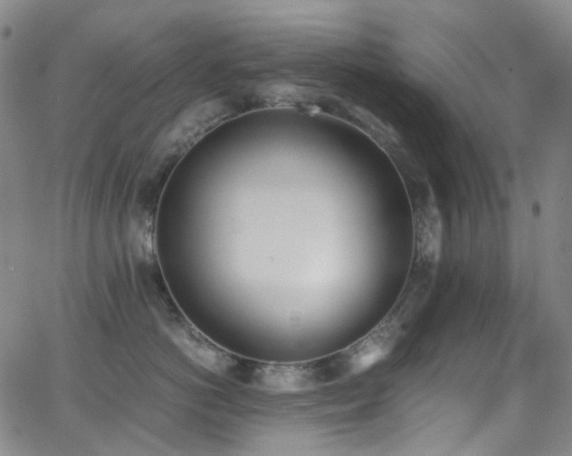 X0000062870766200601131441