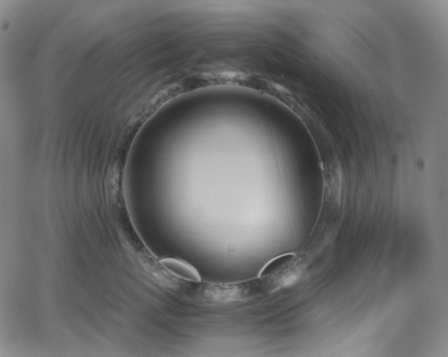 X0000062870767200601131441