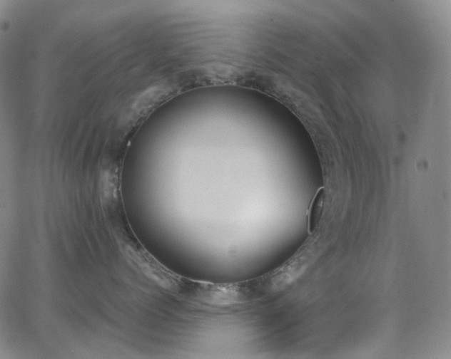 X0000062870768200601131441