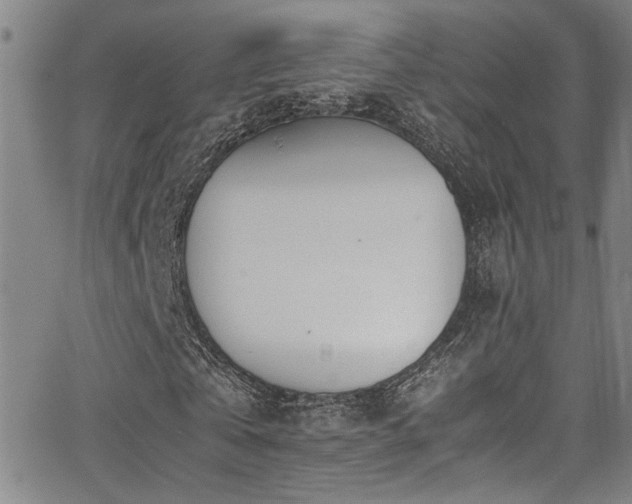 X0000062870769200601131440