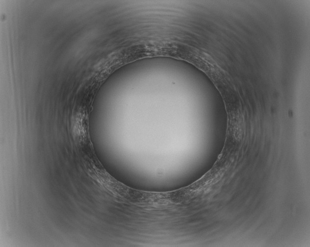 X0000062870770200601131440