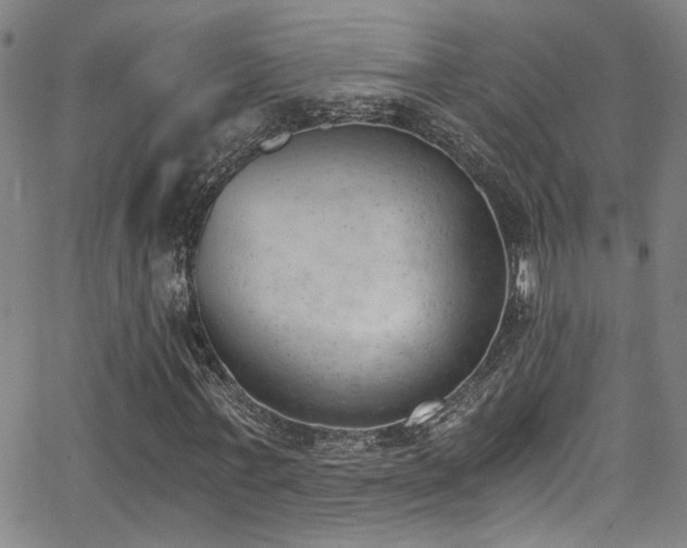 X0000062870771200601131440