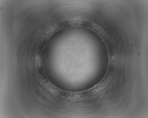 X0000062870772200601131440