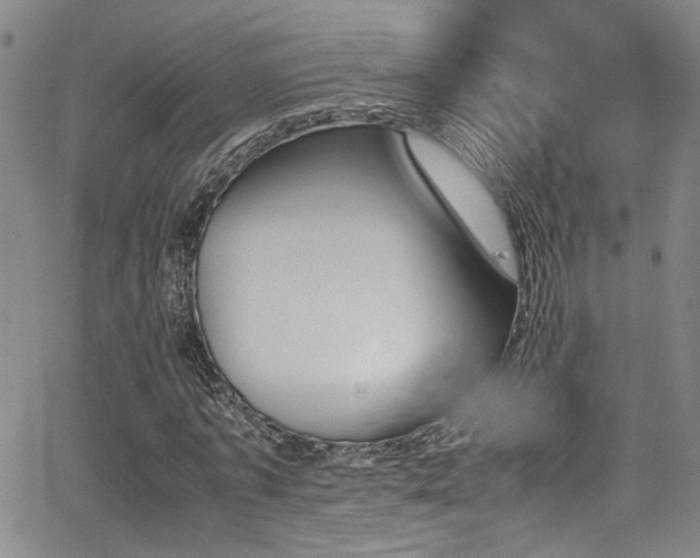 X0000062870773200601131440