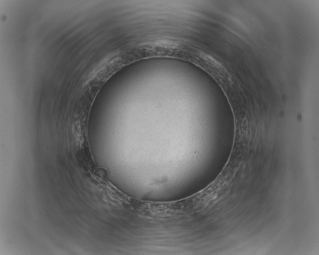 X0000062870774200601131440