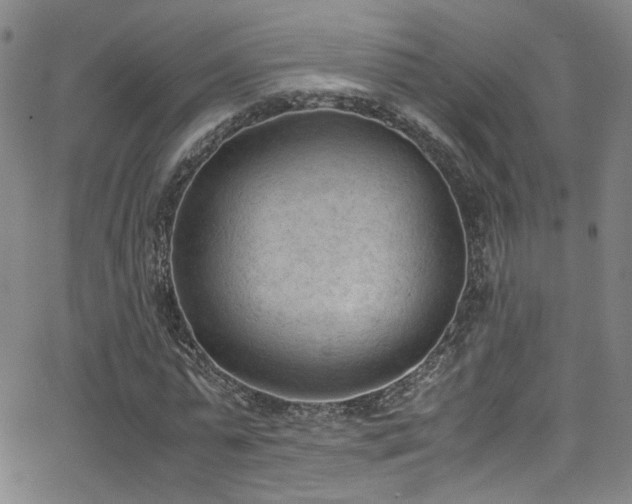 X0000062870775200601131440