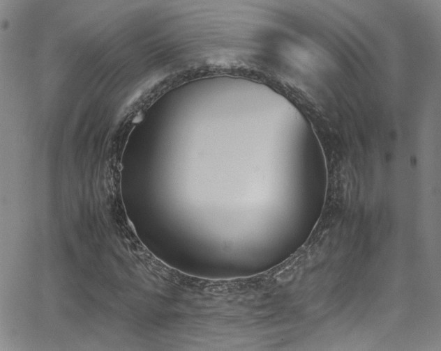 X0000062870776200601131440