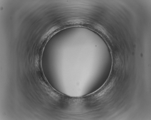 X0000062870778200601131440