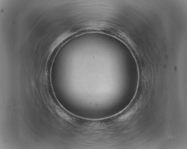 X0000062870779200601131440